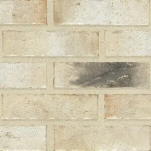 Alaska Sintered Rustic (65mm) brick by The Bespoke Brick Co