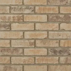 Auriga Buff Best (65mm) brick by All About Bricks