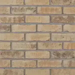 Auriga Buff Non Standard (65mm) brick by All About Bricks