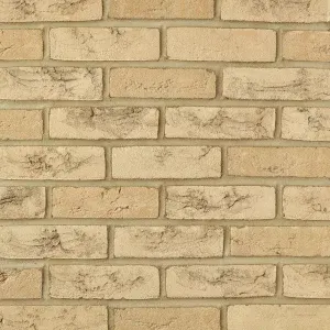 Ballymoney Blend Buff (65mm) brick by All About Bricks