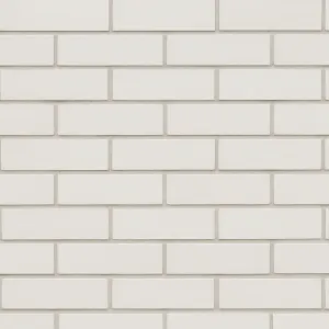 Castleton White Smooth 65mm (Ryarsh Lookalike) brick by Edenhall