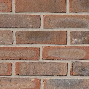 Chailey Medium Multi ATR (65mm) brick by Ibstock