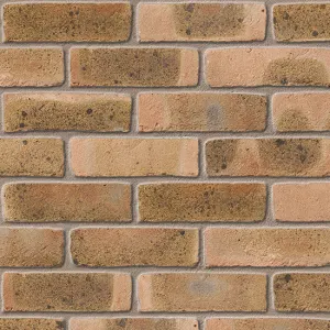 Coleridge Yellow Mutli (65mm) brick by Ibstock
