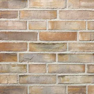 D72 DNF 54mm brick by Petersen Tegl