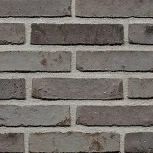 Darwin Falls (65mm) brick by Wienerberger