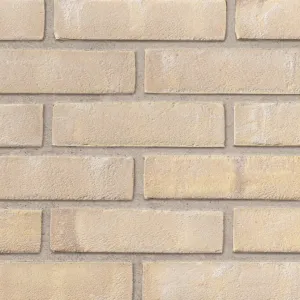 Leicester Multi Cream ECLIPSE (65mm) brick by Ibstock