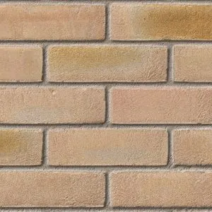 Leicester Multi Yellow (65mm) brick by Ibstock