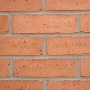 Shelton Red (65mm) brick by Forterra