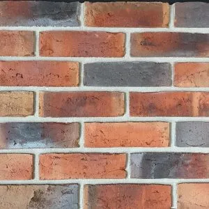 Warwickshire Red Multi (65mm) brick by Camtech
