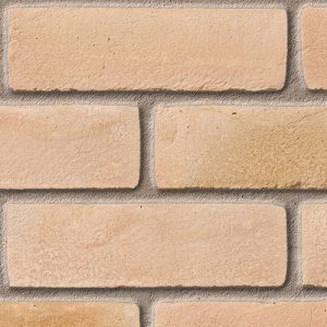 Leicester Multi Yellow bricks