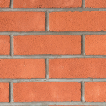 Irish Rose Red Stock (65mm)