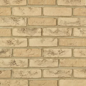 Ballymoney Blend Buff bricks