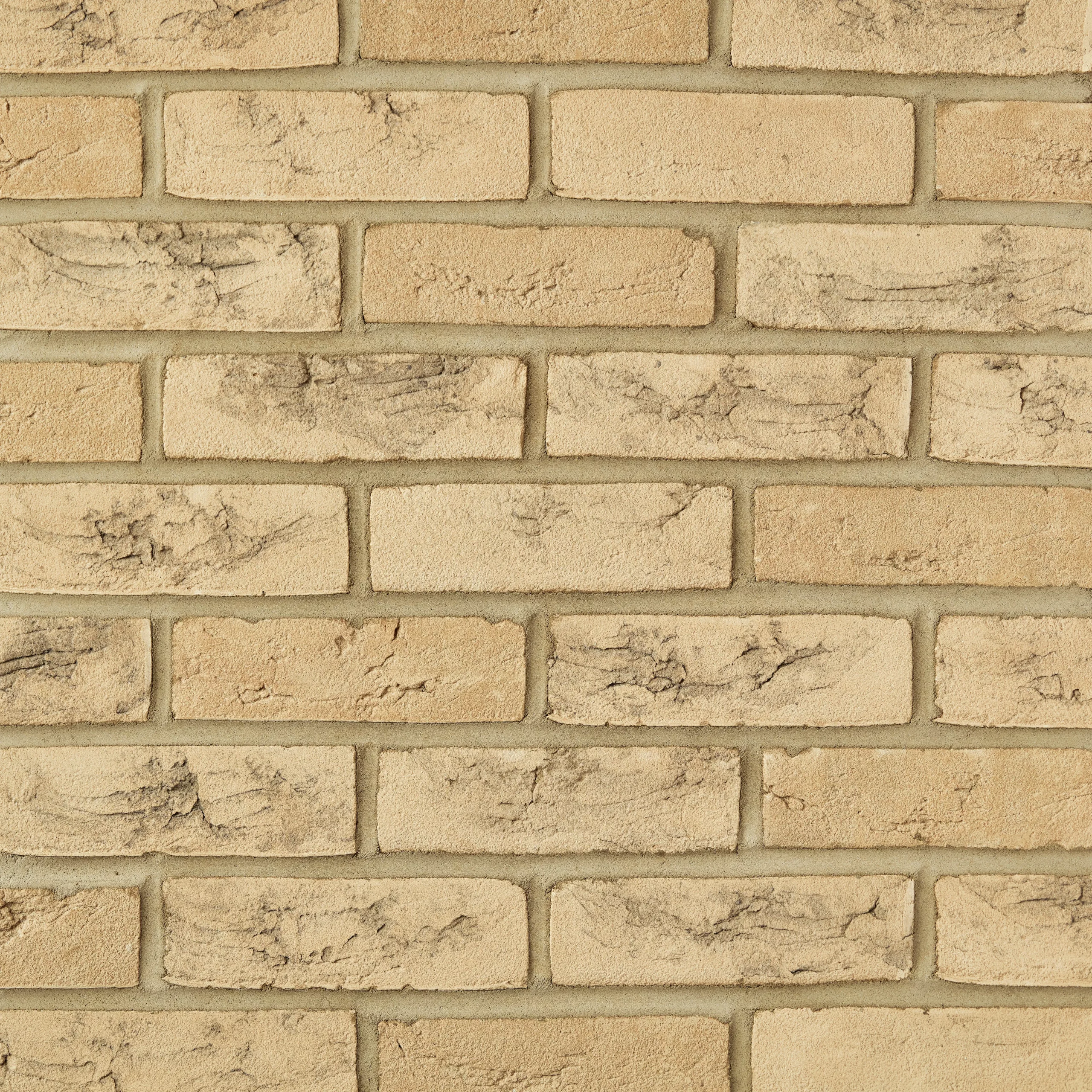 Ballymoney Blend Buff bricks