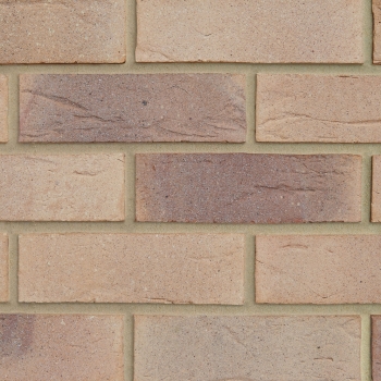 Village Harvest Multi (65mm)