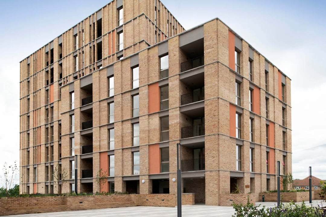 FLB Lindfield Yellow Multi (65mm) - Image 3