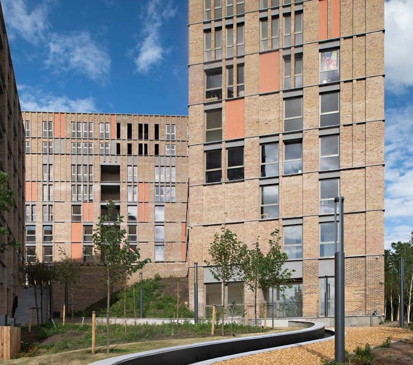 FLB Lindfield Yellow Multi (65mm) - Image 2