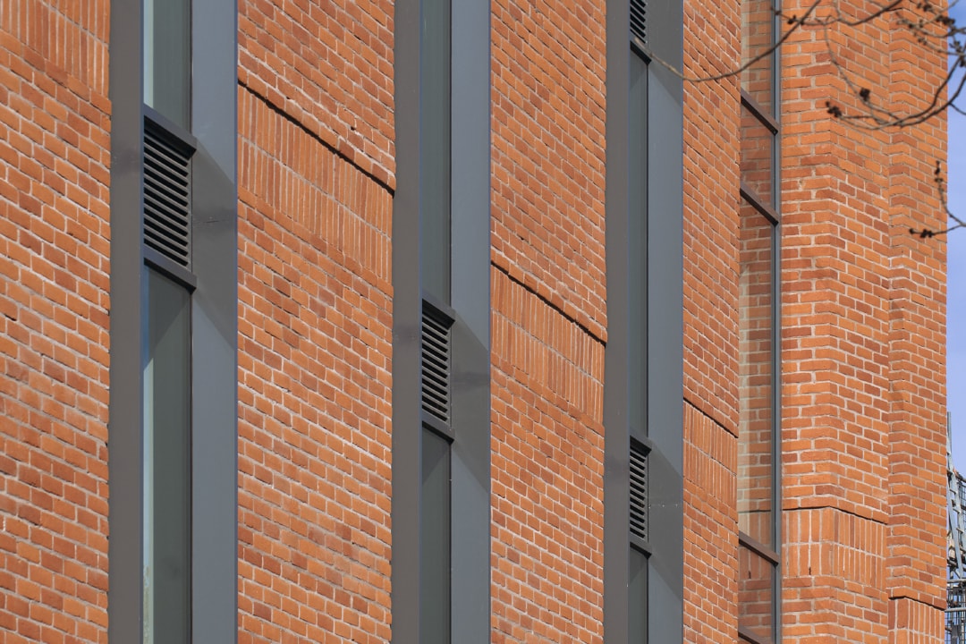 Hampshire Stock Downs Blend (65mm) - Image 4