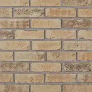 Auriga Buff Non Standard 65mm Brick